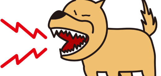 噛み犬