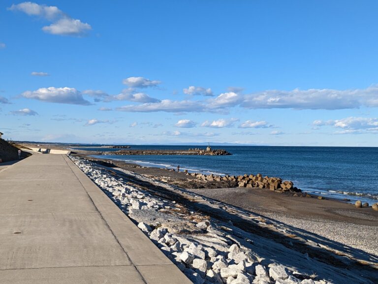 海浜