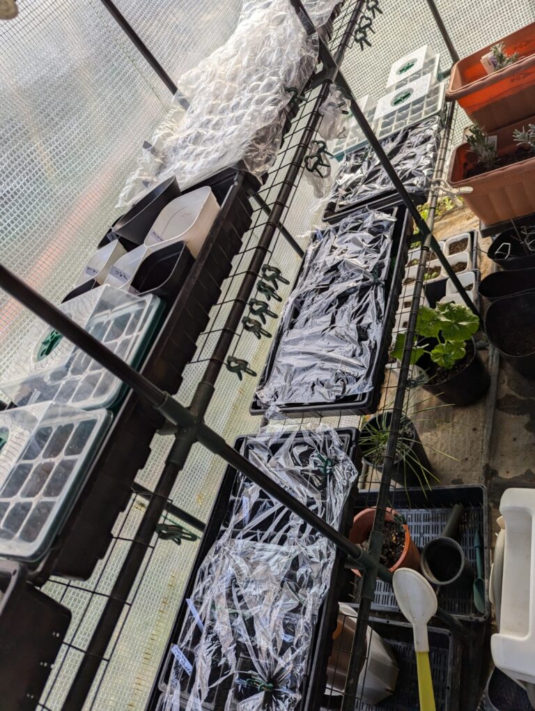 温室の棚