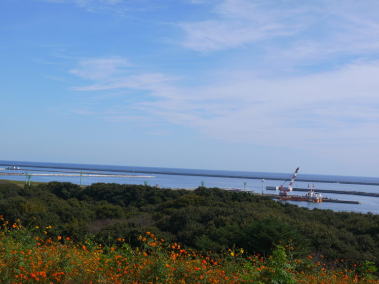 空き家が多いのはもったいない